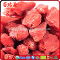 Goji berry tablet gochi berry golden berry